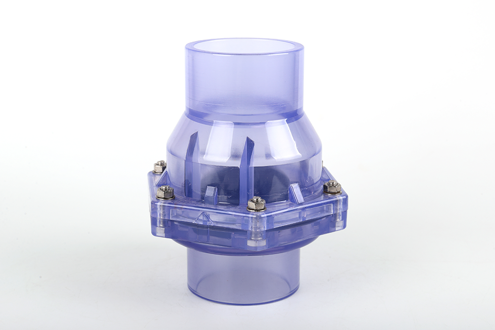 广州透明翻板式止回阀